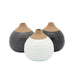 12681-02 Decor/Decorative Accents/Vases