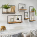 12681-02 Decor/Decorative Accents/Vases