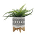 16401-02 Outdoor/Lawn & Garden/Planters