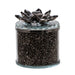 15420-01 Decor/Decorative Accents/Boxes