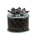 15420-02 Decor/Decorative Accents/Boxes