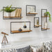 15431 Decor/Decorative Accents/Sculptures Figurines & Finials