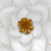 15807-03 Decor/Wall Art & Decor/Wall Accents