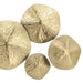 16898 Decor/Wall Art & Decor/Wall Accents