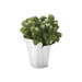 10019580 Outdoor/Lawn & Garden/Planters