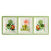 92533 Dining & Entertaining/Serveware/Serveware Collections