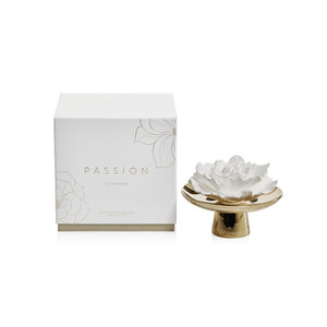 CH-6371 Decor/Candles & Diffusers/Scents & Diffusers