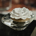CH-6381 Decor/Candles & Diffusers/Scents & Diffusers