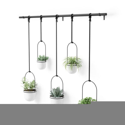 Product Image: 1018086-660 Outdoor/Lawn & Garden/Planters