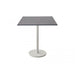 P75X75HPSDG Outdoor/Patio Furniture/Outdoor Tables
