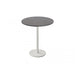 P70HPSDG Outdoor/Patio Furniture/Outdoor Tables