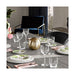 1173901410 Dining & Entertaining/Barware/Cocktailware