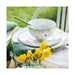 1486631906 Dining & Entertaining/Dinnerware/Dinner Bowls