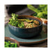 1951671900 Dining & Entertaining/Dinnerware/Dinner Bowls
