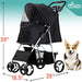 CSSPETSTLR-BLK2 Decor/Pet Accessories/Other Pet Accessories