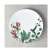 1046552620 Dining & Entertaining/Dinnerware/Dinner Plates