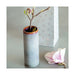 1042869236 Decor/Decorative Accents/Vases