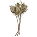 H1BAP000 Decor/Faux Florals/Floral Arrangements