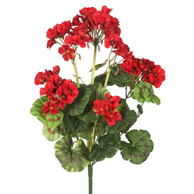20" Red Geranium Bushes 4-Pack