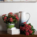 FL170201 Decor/Faux Florals/Plants & Trees