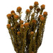 H1TOF750 Decor/Faux Florals/Floral Arrangements