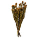 H1TOF750 Decor/Faux Florals/Floral Arrangements