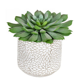 6" Artificial Green Potted Succulents in Cement Pots 2-Pack