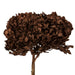 H1HYD800 Decor/Faux Florals/Floral Arrangements