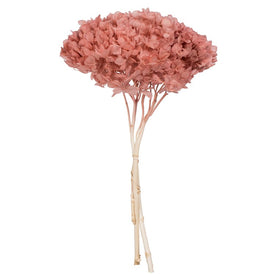 15" Natural Preserved Erika Pink Hydrangea Stem