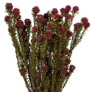 H1TOF450 Decor/Faux Florals/Floral Arrangements