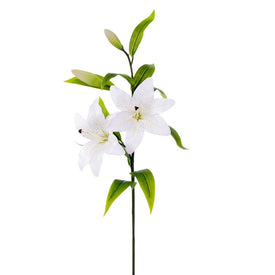 32" White Tiger Lily Stems 2-Pack