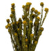 H1TOF700 Decor/Faux Florals/Floral Arrangements