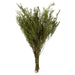 H1STB112 Decor/Faux Florals/Floral Arrangements