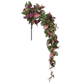 43" Green/Red Wandering Jew Hanging Plant