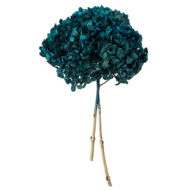 15" Natural Preserved Blue Hydrangea Stem