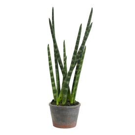 17" Artificial Green Tiger Tail Plant in Paper Pot