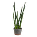 FE181801 Decor/Faux Florals/Floral Arrangements