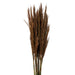 H1PLR800 Decor/Faux Florals/Plants & Trees