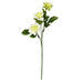FV190641 Decor/Faux Florals/Wreaths & Garlands