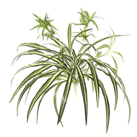 24" Artificial Spider Plant with 82 Green Leaves 2 per Bag