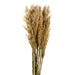 H1PLR000 Decor/Faux Florals/Plants & Trees