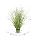 TD190524 Decor/Faux Florals/Plants & Trees
