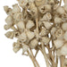 H1CNC999 Decor/Faux Florals/Wreaths & Garlands