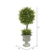 FK172501 Decor/Faux Florals/Plants & Trees