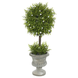 15" Artificial Oregon Juniper Topiary in Pedestal Urn