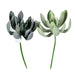 FV192508 Decor/Faux Florals/Wreaths & Garlands