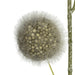 FV193904 Decor/Faux Florals/Wreaths & Garlands