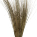 H2BRG000-2 Decor/Faux Florals/Plants & Trees