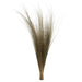 H2BRG000-2 Decor/Faux Florals/Plants & Trees