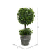FK172601 Decor/Faux Florals/Plants & Trees